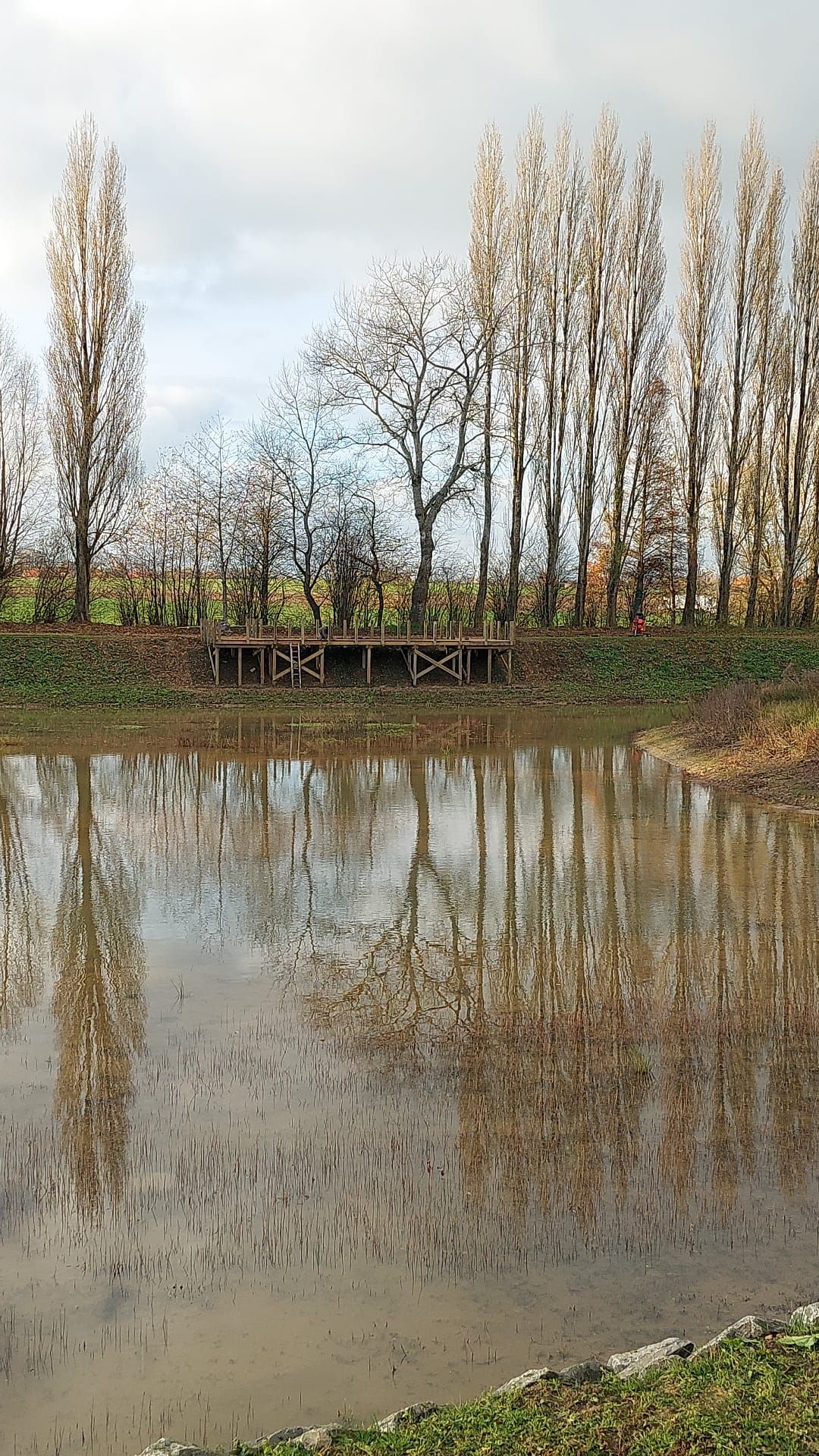 Aménagement de berges et ponton