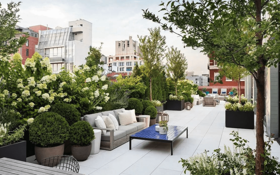Terrasses végétalisées